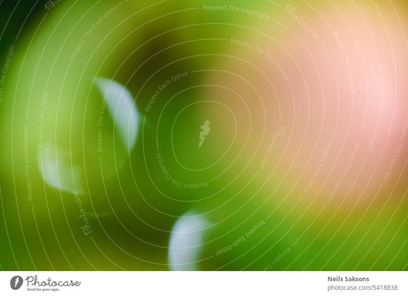 grüner Bokeh-Hintergrund aus der Natur unter Baumschatten. Unschärfe Dschungel abstrakt Licht Frühling Laubwerk Pflanze Sonne weich üppig (Wuchs) Sommer Gebäude