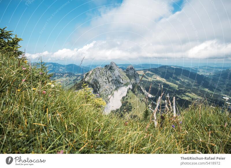 Aussicht auf Berg mit Gras und Wolken Farbfoto grosser mythen Berge u. Gebirge wandern Schweiz Tourismus Alpen Landschaft Außenaufnahme grün laufen Natur Umwelt