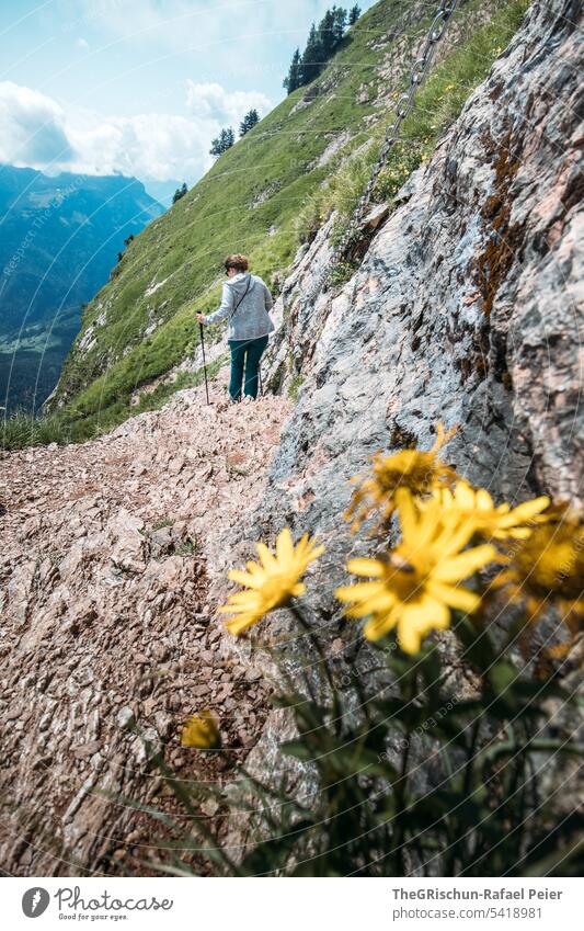 Wanderung mit Felsen und Blumen im Vordergrund Farbfoto grosser mythen Berge u. Gebirge wandern Schweiz Tourismus Wege & Pfade Alpen Landschaft Außenaufnahme