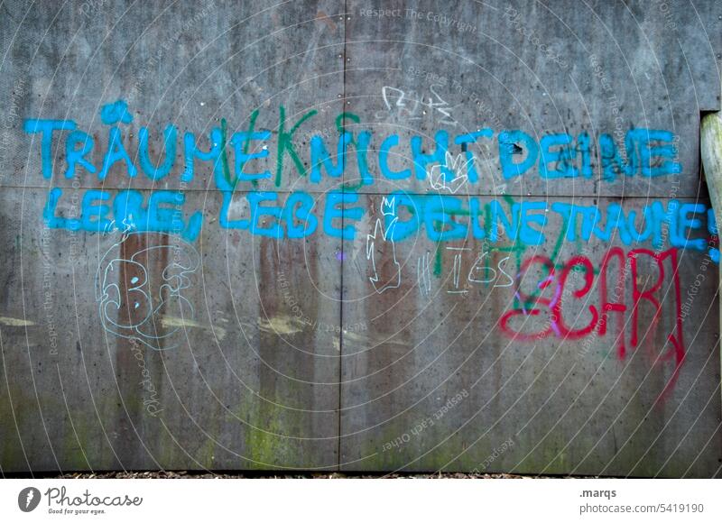 Voll dämlich | Missverständnis Graffiti Wand grau blau träumen Leben Schriftzeichen leben deinen traum Zukunft lebensweg Hoffnung