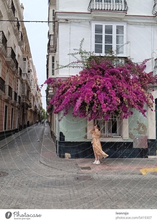 Eine Frau mit Kleid riecht an den Blumen und Blüten, die vor einer Hausfassade auf die Straße runterhängen. Eine Straßenszene in Cadiz, Andalusien. Gasse