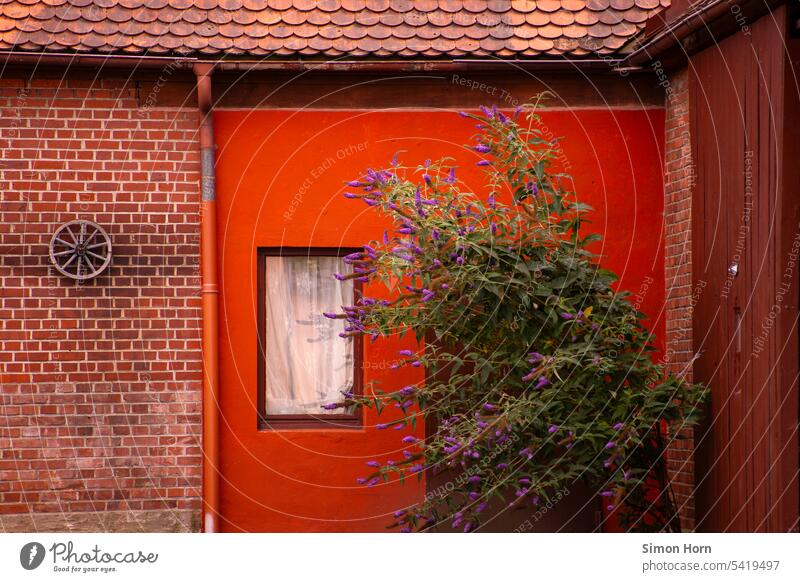 Lavendel vor einer Scheune mit Fenster, knalliger Farbigkeit und Dekoration farbintensiv Rad Rad der Zeit lebendig intakt Dorfstrukturen Landleben Romantik