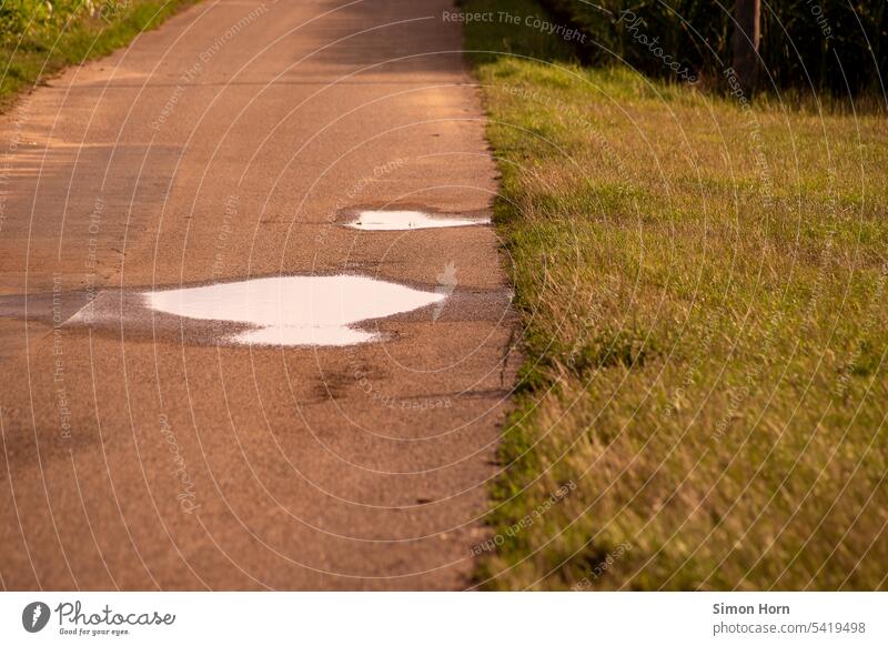 Pfützen auf einer schmalen Straße zwischen Wiesen Weg Wasser Außenaktivität Reflexion & Spiegelung regennass Wetter Verbindung Wege & Pfade Regenwetter
