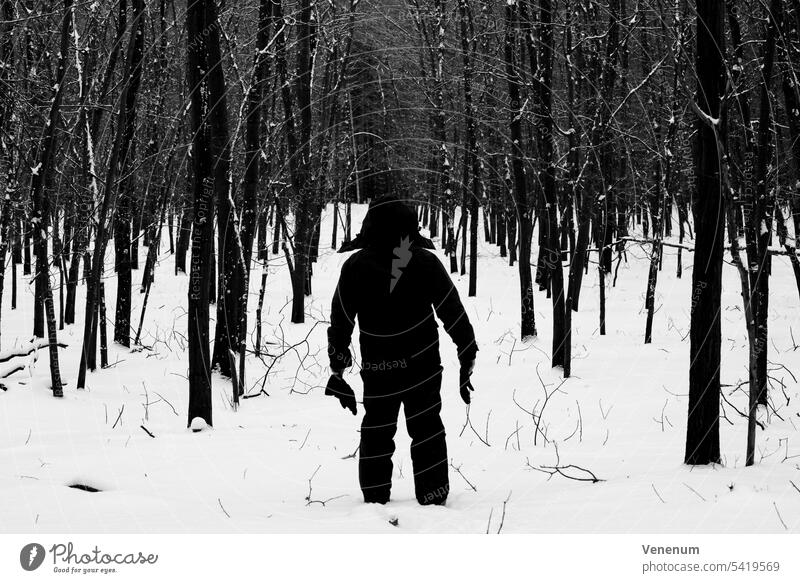 Silhouette eines Mannes in Winterkleidung in einem verschneiten jungen Eichenwald, schwarz und weiß Wälder Baum Bäume Waldboden Bodenanlagen Unkraut