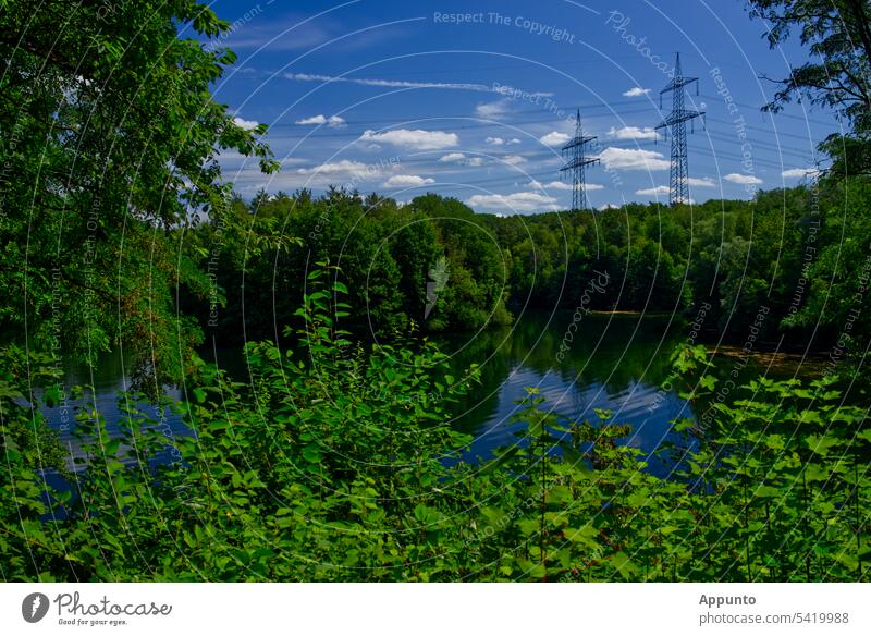 Umweltschutz und Energiesicherheit (Sommerliche grüne Seenlandschaft mit zwei Strommasten im Hintergrund vor blauem Himmel) Binnengewässer sommerlich Bäume