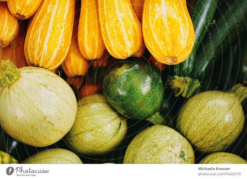 fülle. reiche ernte von umterschiedlichen zucchinisorten, gelbe runde grüne gestreifte zuchini am markt sommer Lebensmittel Ernährung Gesundheit Gemüse frisch