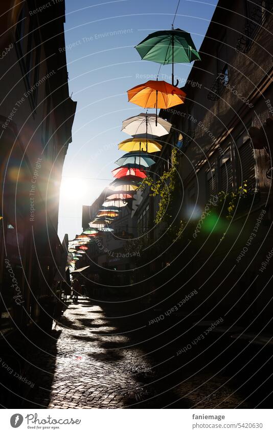 schattenwerfende Regenschirme in der Gelnhäuser Langgasse im Gegenlicht am Abend regenschirm Schirm Farbenfroh Schatten Sonnenstrahlen gegenlicht