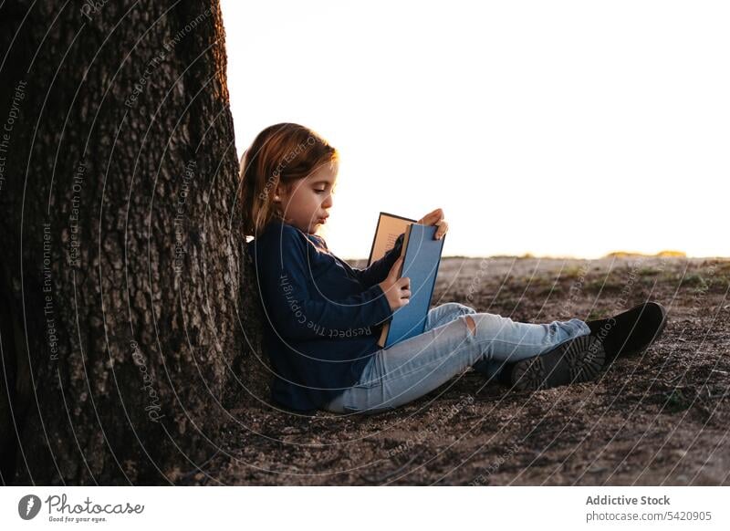 Kleines Mädchen mit Buch unter einem Baum sitzend Kind lesen Natur Feld Kofferraum Sommer lässig Windstille ruhig ernst Konzentration Frau lernen Wiese