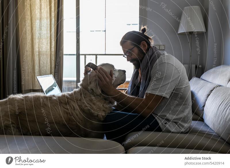 Lässiger Typ, der seinem Hund im Wohnzimmer Kopfhörer aufsetzt Mann angezogen Sofa heimwärts sitzen sich[Akk] entspannen zuhören Musik lässig Tier benutzend