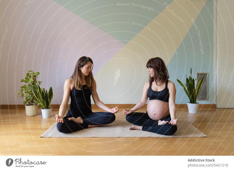 Schwangere Frau und Trainerin beim Meditieren im Studio Frauen Yoga Atelier meditieren schwanger Lotus-Pose Training Übung Zusammensein Gesundheit Wellness üben