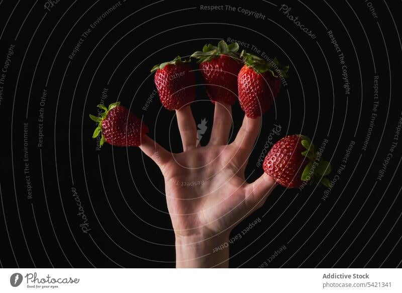 Crop-Kind mit Erdbeeren an den Fingern spielen Sommer Konzept zeigen reif frisch dunkel Saison manifestieren Lebensmittel Frucht Beeren Snack rot Spiel Vitamin