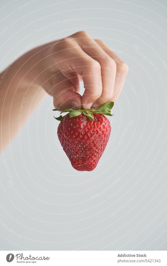 Erntekind mit reifen Erdbeeren Kind zeigen heimwärts Sommer frisch Lebensmittel süß Frucht Beeren Gesundheit Snack wenig Kindheit Bestandteil manifestieren