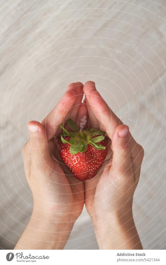 Erntekind mit reifer Erdbeere Kind zeigen Erdbeeren heimwärts Sommer frisch Lebensmittel süß Frucht Beeren Gesundheit Snack wenig Kindheit Bestandteil