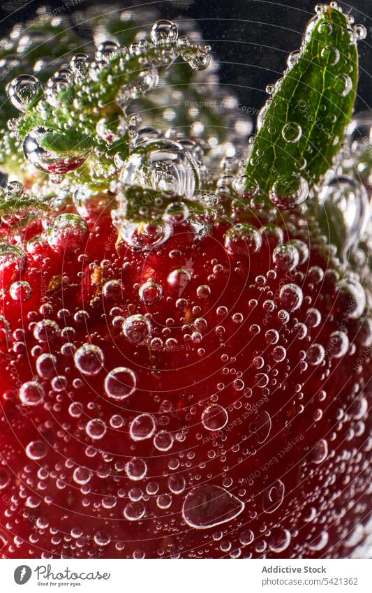 Frische Erdbeere in sauberem Wasser Erdbeeren Air Schaumblase frisch Sauberkeit reif Sommer rot grün durchsichtig übersichtlich Lebensmittel Frucht Beeren