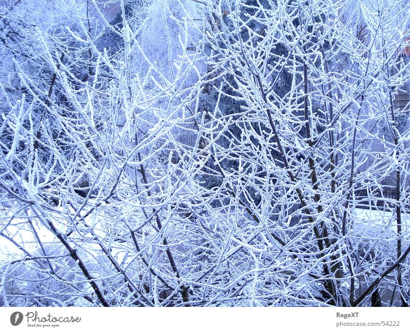 Minusgrad1 Winter kalt frisch Eis blau hell Frost