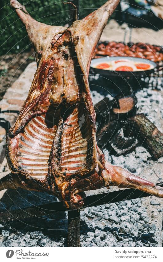 Lamm im Grill gebraten Barbecue gegrillt Rippen Fleisch Tier im Freien kleben Garten Holzkohle Kohle hacken Lebensmittel grillen Essen zubereiten Kofferraum