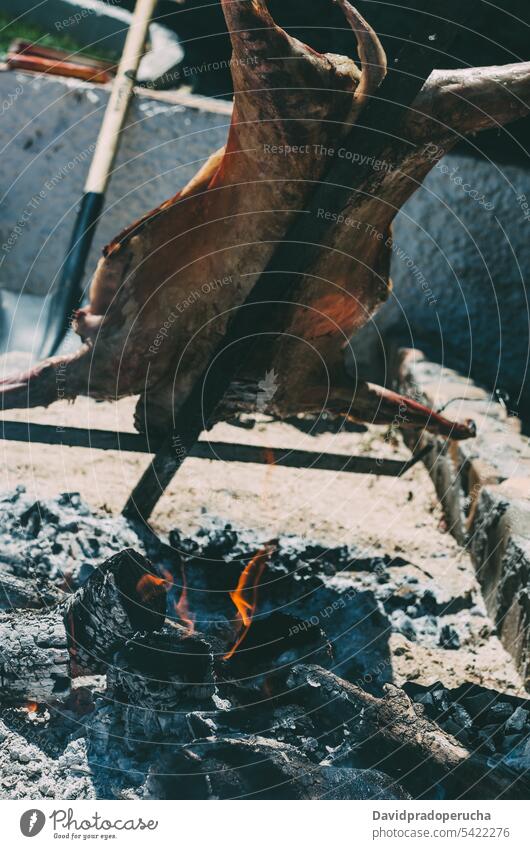 Lamm im Grill gebraten Barbecue gegrillt Rippen Fleisch Tier Holzkohle Kohle Lebensmittel grillen Essen zubereiten Küche Glut kleben Sommer im Freien Feuer ganz