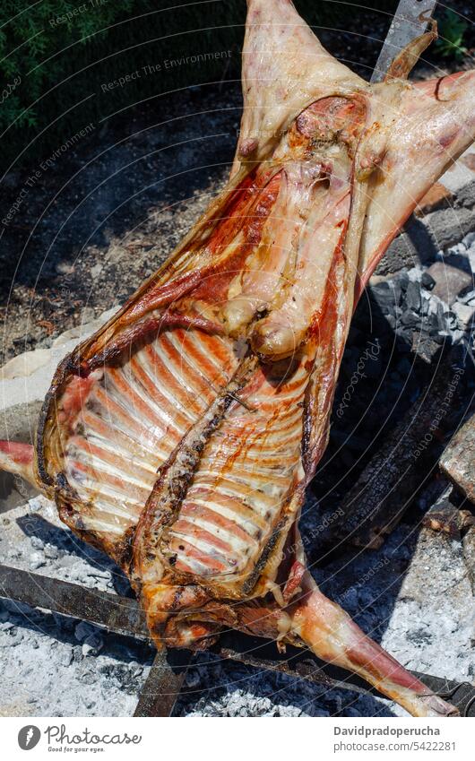 Lamm im Grill gebraten Barbecue gegrillt Rippen Fleisch Tier Holzkohle Kohle Lebensmittel grillen Essen zubereiten Küche Glut kleben Sommer im Freien Feuer ganz