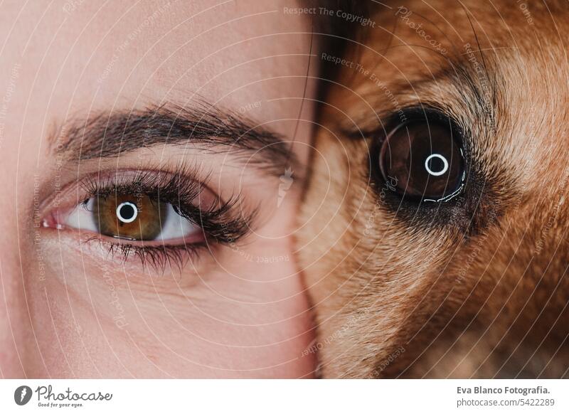 Studio Porträt von Mensch und Hund Augen. Haustiere Konzept Veterinär Hintergrund Fell Maul Kamm Säugetier Mädchen Liebe Behaarung züchten Reinrassig Frau