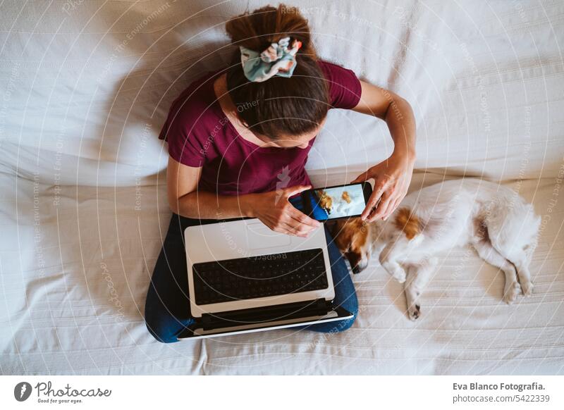 junge Frau, die zu Hause am Laptop arbeitet, auf der Couch sitzt und nebenbei mit dem Handy ein Foto von ihrem süßen kleinen Hund macht. Technik und Haustierkonzept