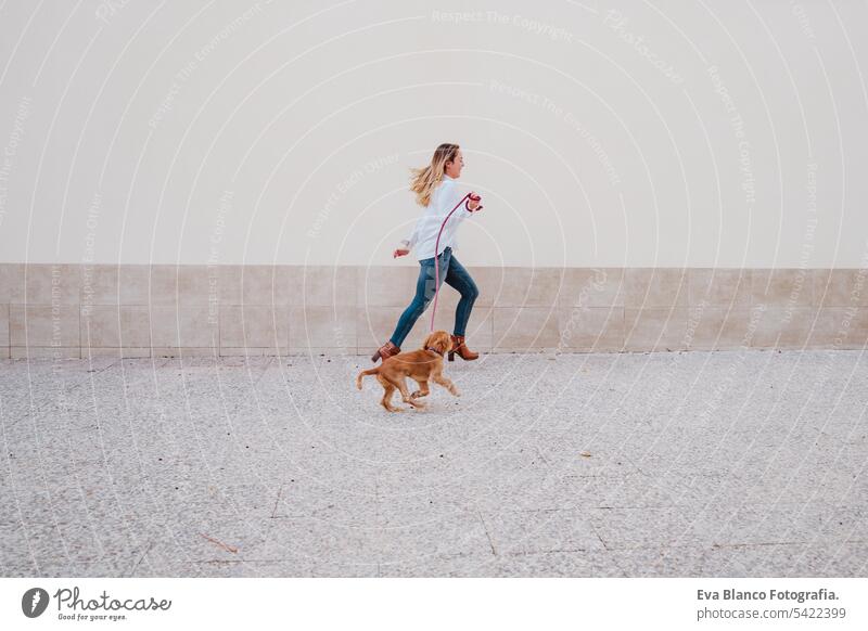 Junge Frau auf der Straße zu Fuß mit ihrem niedlichen Cocker-Hund. Lifestyle im Freien mit Haustieren Freundschaft Großstadt schön laufen Lächeln Tier außerhalb
