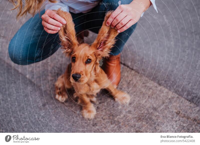 Junge Frau auf der Straße, die die lustigen großen Ohren ihres süßen Cockerhundes hält. Lifestyle im Freien mit Haustieren Hund laufen Großstadt urban