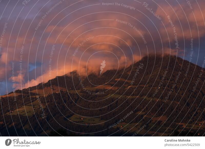 Feuerwerk der Natur auf der Rigi am  Schweizer Nationalfeiertag 1.August Berg Berge Abendrot Abenddämmerung Wolken Wald Himmel Berge u. Gebirge Alpen Landschaft