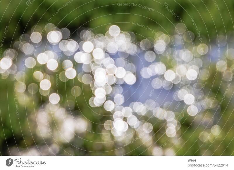 Unscharfe Bokeh-Lichtpunkte in einer Wasseroberfläche mit Wiesenpflanzen Hintergrund hell Müsli h2o Inningen liquide Hafer Roggen Stoppelfeld Ansicht