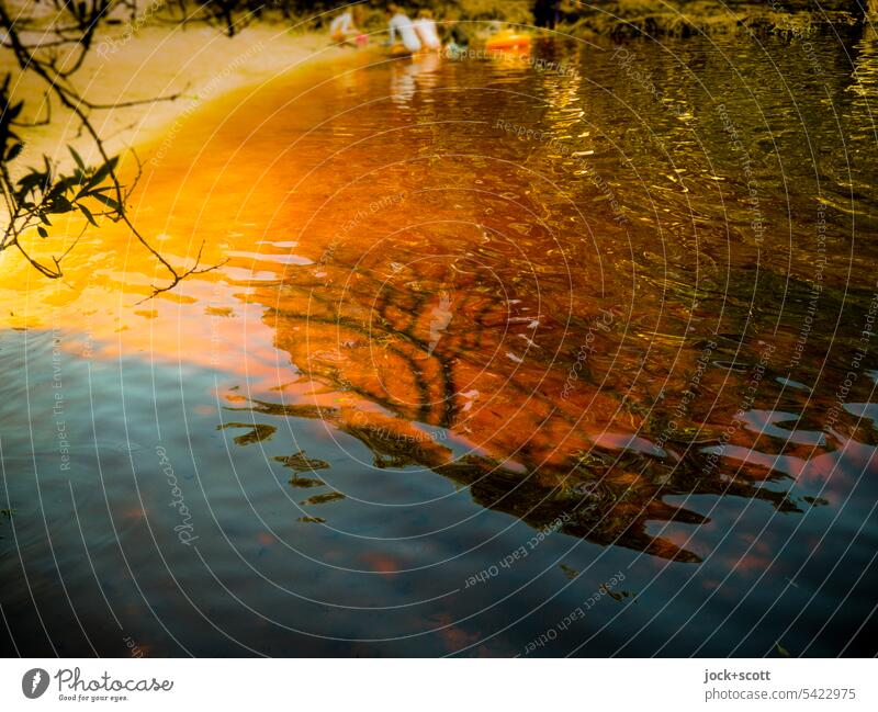 ungewöhnlich brauner See Teebaum Wasserspiegelung Reflexion & Spiegelung Natur Wasseroberfläche Seeufer Idylle Umwelt Australien Hintergrundbild Unschärfe
