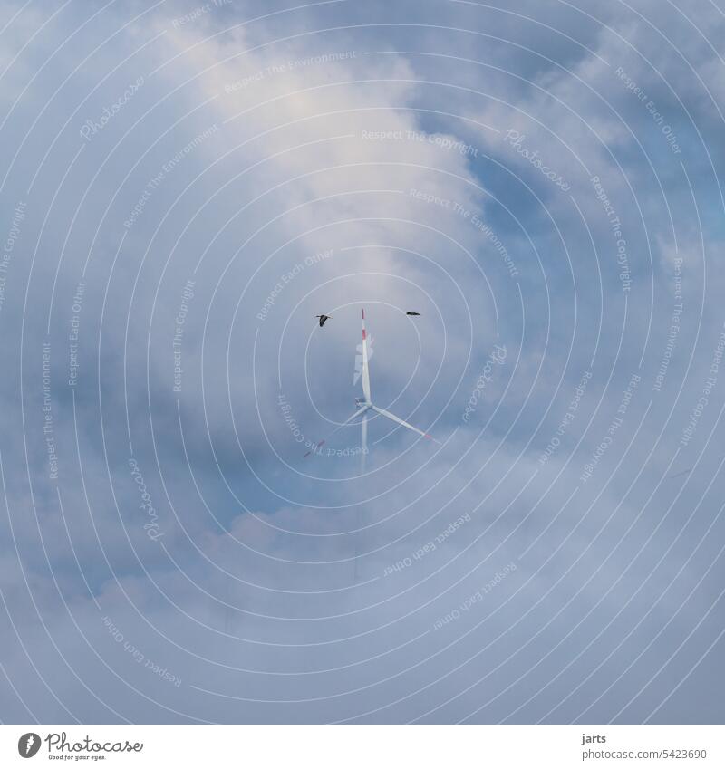 Windrad in den Wolken, mit zwei vorbei fliegenden Schwarzstörchen Schwarzstorch Himmel vortschritt windkraft Nachhaltigkeit Umweltschutz Erneuerbare Energie
