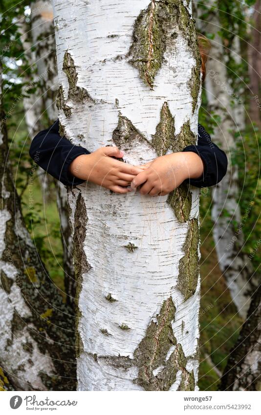 immer wieder | mal einen Baum umarmen Thementag Baumkuscheln Baumstamm Birke Kind Arme Umarmung Mädchen Natur Wald Außenaufnahme Farbfoto Tag Nahaufnahme