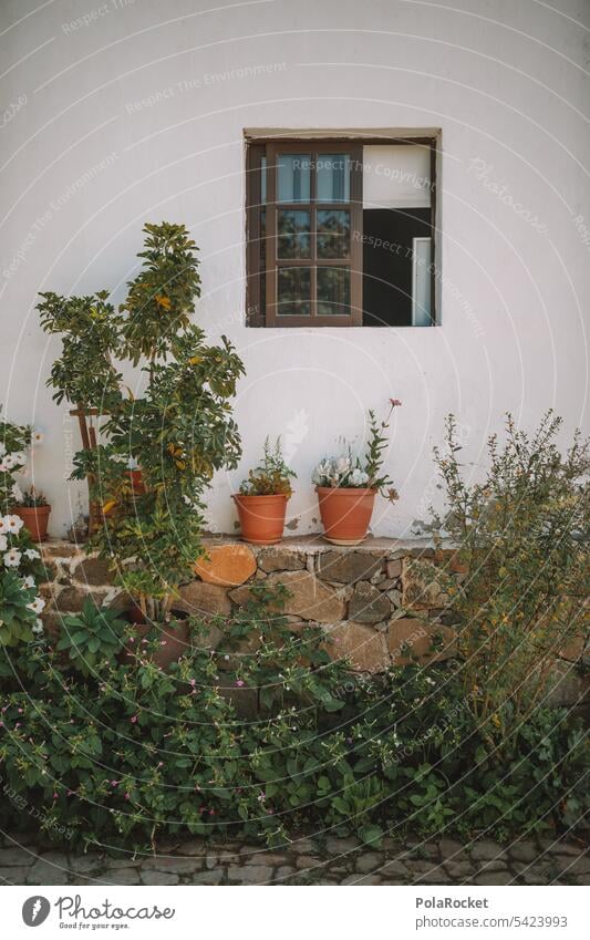 #A0# Spanisches Haus mediterran Spanien Architektur Gebäude Tourismus Fassade Fenster Blumen Blumentopf Wand Stadt Außenaufnahme traditionell