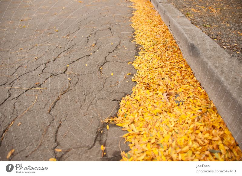 #542413 Herbst Stadt gelb gold Bordsteinkante Blatt Straßenreinigung Kehren Lampe Verfall Jahreszeiten Ordnung Ordnungsliebe Farbfoto Außenaufnahme