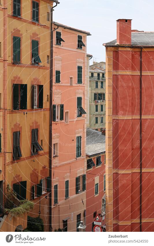 Hohe, bunte Häuser in rosa und rostrot mit Fensterläden in einem Städtchen an der italienischen Riviera ocker Urlaub Erholung Italien Ferien & Urlaub & Reisen