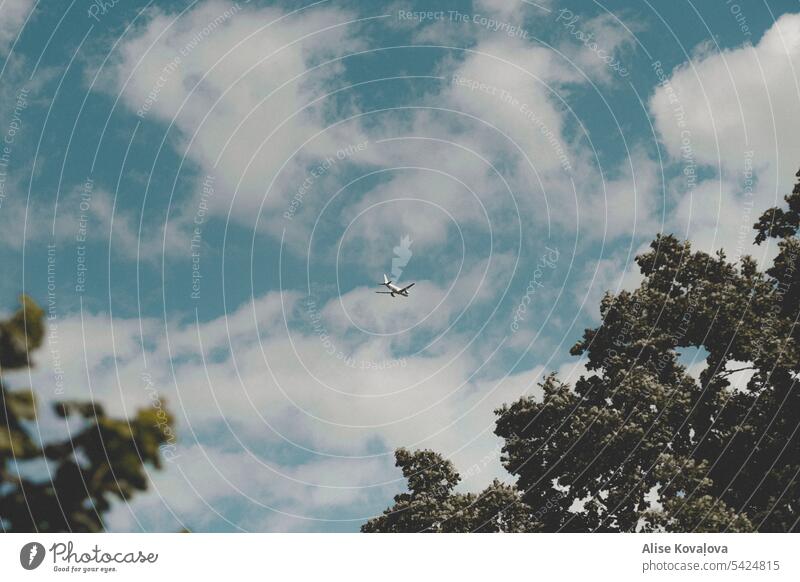 Traum vom Urlaub Wolken Ebene Flugzeug am Himmel Passagierflugzeug Farbfoto Blick vom Boden Tag