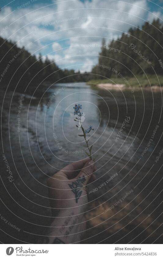 eine Blume in der Hand haltend an einem Fluss Tattoos Hand-Tattoos blau Wasser verschwommener Hintergrund Bäume tätowiertes Mädchen Vergißmeinnicht