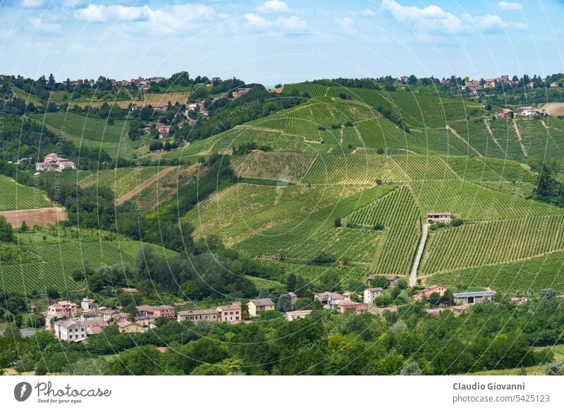 Die Hügel von Oltrepo Pavese im Juni. Weinberge Europa Italien Lombardei Montu Beccaria pavia Stradella Ackerbau Farbe Land Tag Bauernhof Feld grün Haus