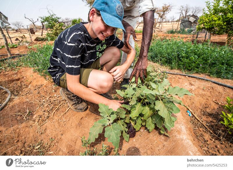 kleine pflanzenkunde authentisch einfaches leben Armut Ferne Leben Damaraland Afrika Namibia Garten Pflanze Nahrung Junge Kind Sohn lernen erklären Wissen