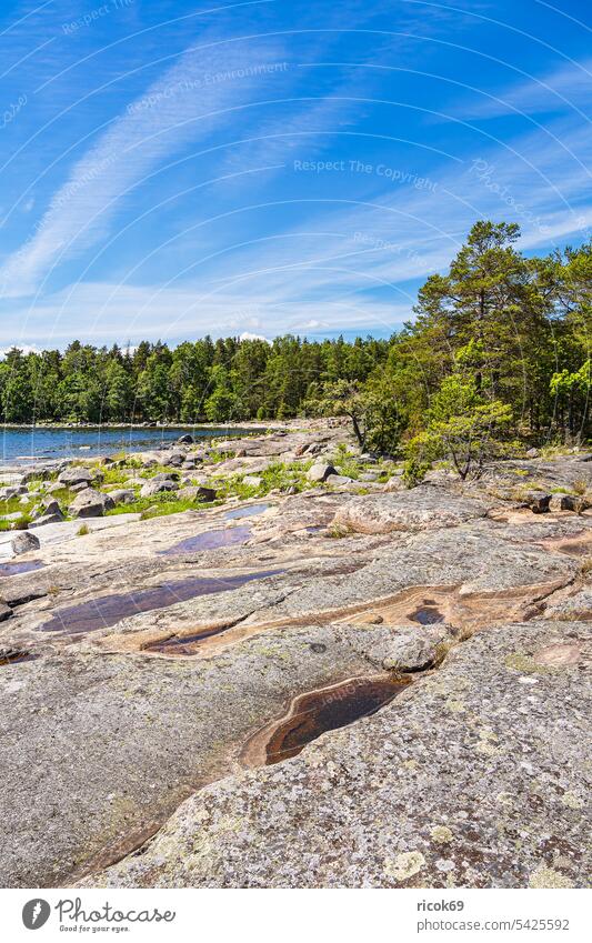 Ostseeküste mit Felsen und Bäumen auf der Insel Sladö in Schweden Västervik Küste Meer Hasselö Landschaft Natur Wasser Stein Kalmar län Småland Sommer Himmel