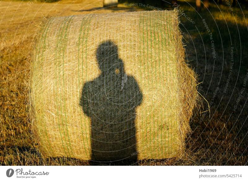 Fotograf wirft beim Fotografieren einen Schatten auf einen Heuballen Rundballen Landwirt Landwirtschaft landwirtschaftlich Landschaft Sonnenschein sonnig Bauer