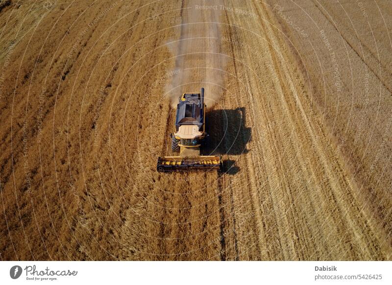 Mähdrescher bei der Arbeit auf einem landwirtschaftlichen Feld. Erntesaison Ernten Erntemaschine Roggen Agronomie Gerste Antenne Weizen Lebensmittel Sommer