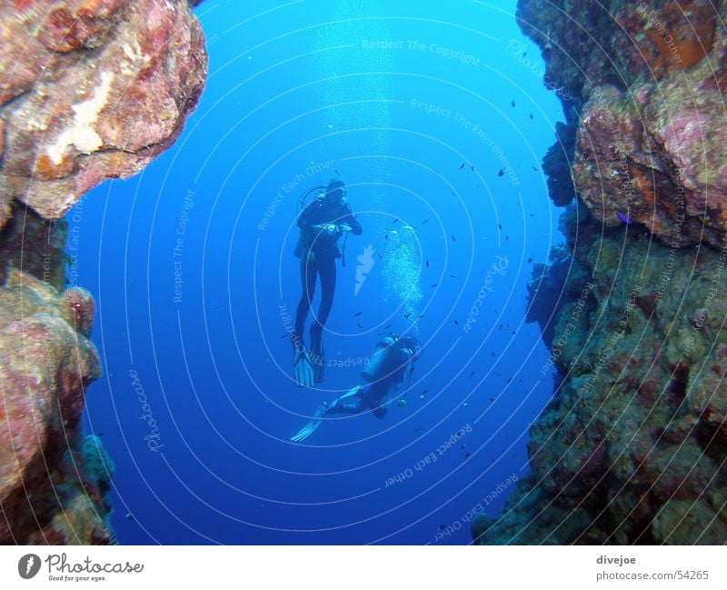 Taucher am Bluehole tauchen Ägypten Dahab Meer Unterwasseraufnahme Luftblase diving blue hole sharm el sheikh blau red sea Rotes Meer egypt bubbles