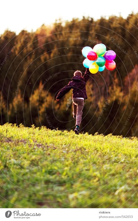 meine luftballons und ich vi Mensch maskulin Kind Junge Kindheit Leben 1 3-8 Jahre 8-13 Jahre Umwelt Herbst Schönes Wetter Wiese Feld Wald fliegen rennen