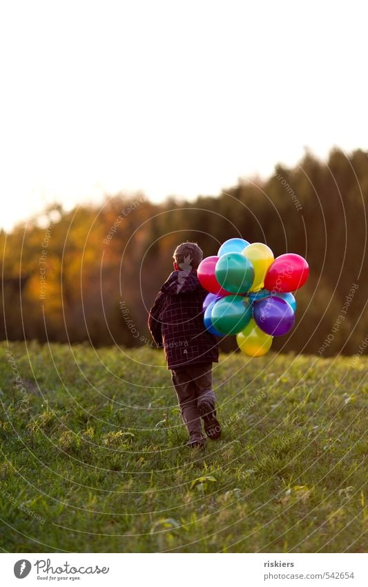 meine luftballons und ich ii Mensch maskulin Kind Junge Kindheit Leben 1 3-8 Jahre 8-13 Jahre Herbst Schönes Wetter Wiese Feld Wald rennen frei Freundlichkeit