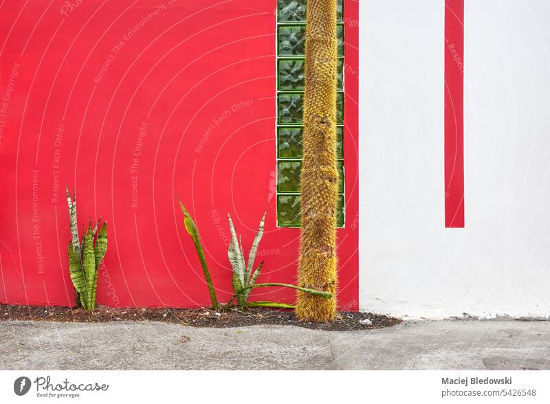 Straßenansicht von roten und weißen Gebäudefassade mit Kaktus, Architektur Hintergrund, Ecuador. Wand Haus Fassade reisen Großstadt Stadt Südamerika urban