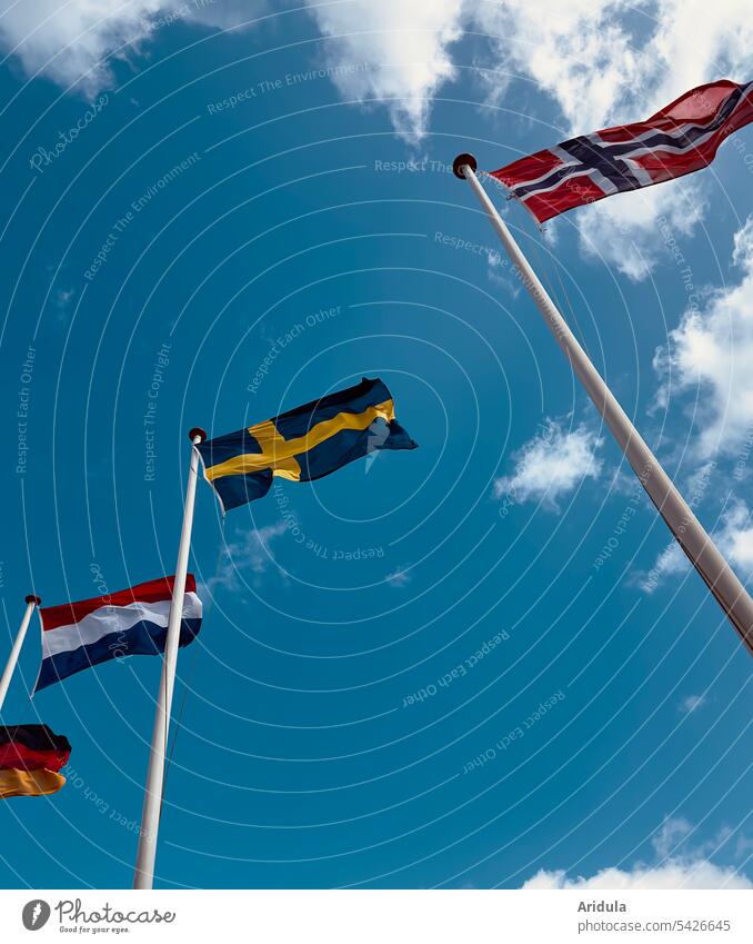 Flaggen im Wind vor blauem Himmel von Norwegen, Schweden, Niederlande und Deutschland Nationalflagge Fahne Politik & Staat Fahnenmast wehen Europa