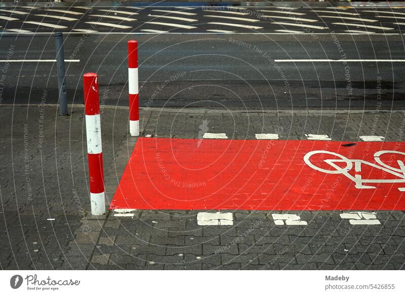 Fahrbahnmarkierung in rot und weiß auf grauem Asphalt für den Radweg mit Poller nach Regen im Sonnenschein auf der Hanauer Landstraße im Ostend von Frankfurt am Main in Hessen