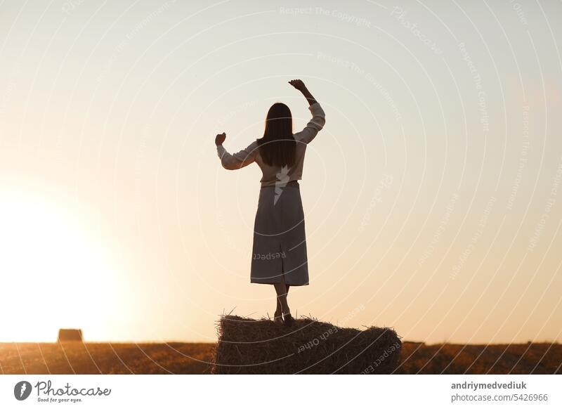 Junge Frau mit langen Haaren steht und vergnügt sich auf Strohballen in einem Feld im Sommer bei Sonnenuntergang. Weibliches Porträt in natürlicher ländlicher Szene. Umwelt Ökotourismus Konzept.