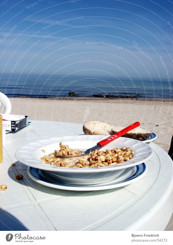 Frühstück am Meer frisch Strand Aussicht Ferien & Urlaub & Reisen weiß Ernährung Morgen Sand Wasser konflakes Freiheit Himmel blau