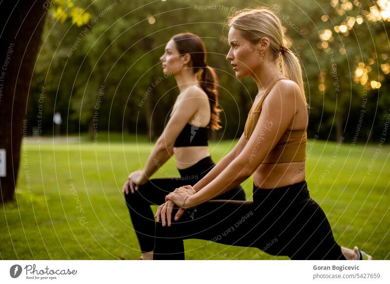 Zwei hübsche junge Frauen dehnen sich im Park aktiv Aktivität Erwachsener sportlich attraktiv schön Schönheit Windstille Übung passen Fitness Gras grün